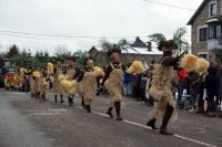 DSC05232_Carnaval-HerbiesterJalhay-2010_Par-Olivier-Closset.jpg