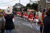 DSC05328_Carnaval-HerbiesterJalhay-2010_Par-Olivier-Closset.jpg