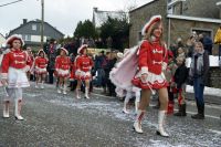 DSC05332_Carnaval-HerbiesterJalhay-2010_Par-Olivier-Closset.jpg