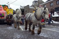 DSC05353_Carnaval-HerbiesterJalhay-2010_Par-Olivier-Closset.jpg