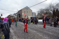 DSC05553_Carnaval-HerbiesterJalhay-2010_Par-Olivier-Closset.jpg