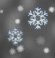 Neige, couvert
